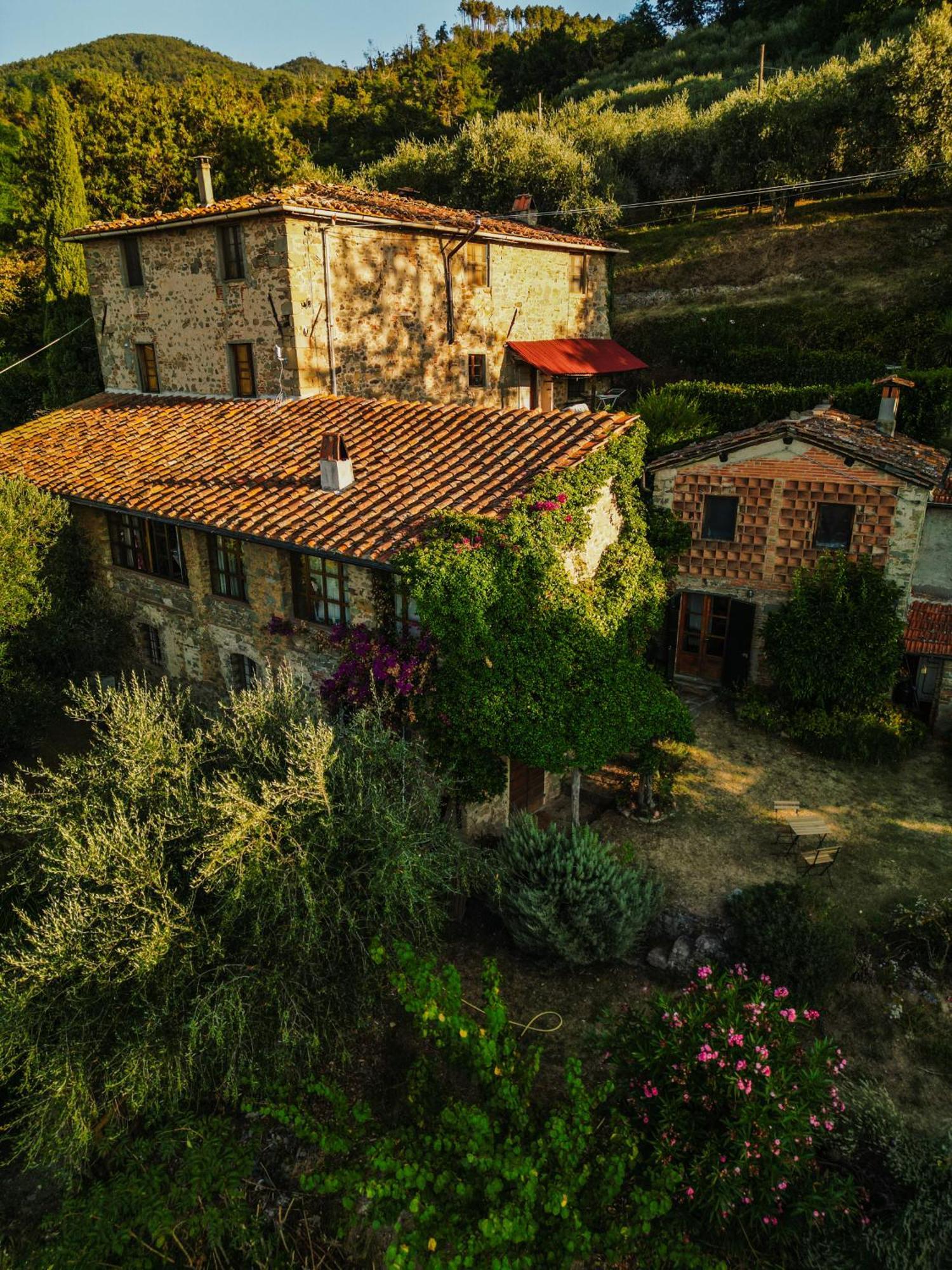 Ferienwohnung L'Orto dei Bruchi Collodi Exterior foto